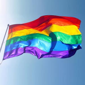 Hot-Sale-Rainbow-font-b-Flags-b-font-And-Banners-3x5FT-90x150cm-Lesbian-Gay-Pride-LGBT.jpg